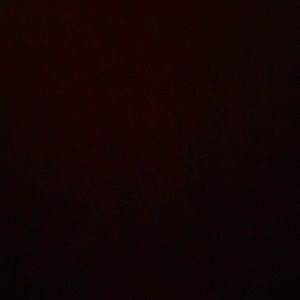 Meet your Posher, Molly